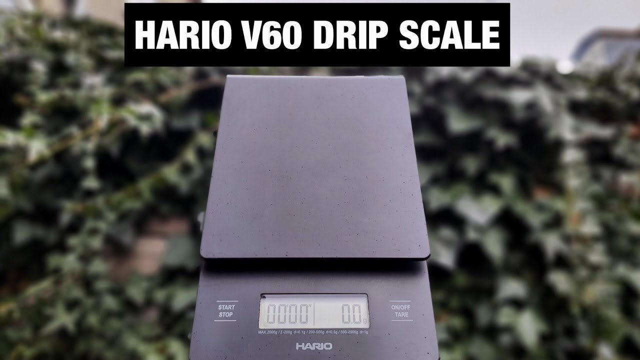 HARIO V60 Metal Drip Scale – Someware
