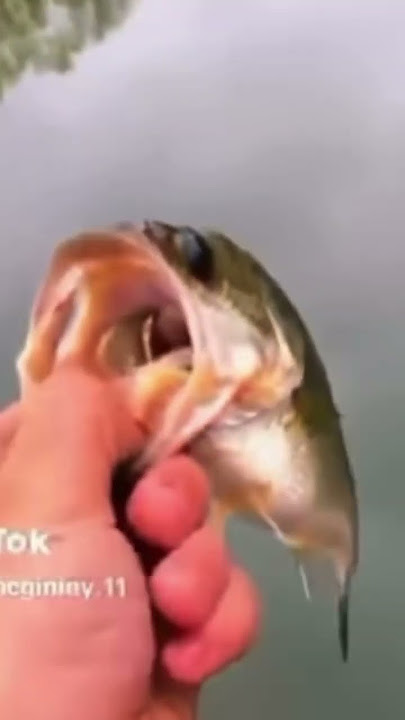 Kyles top 10 fishin tips and tricks