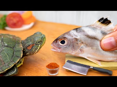 Yummy Miniature Blooming Fish Fried Recipe 🐟 Cooking Mini Food In  Miniature Kitchen - ASMR Video 