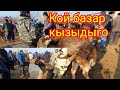 Кой базар.Кочкорларды зоры чыкты.Уч-Коргон.