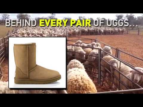 uggs and their ugly reputation