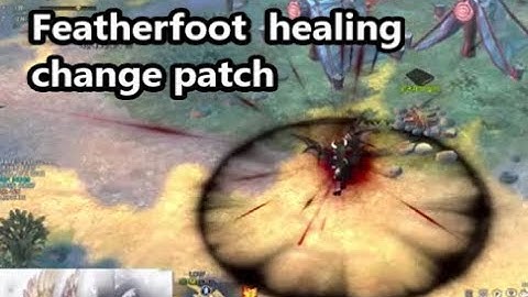 Featherfoot  healing  change patch  - Tree of Savior