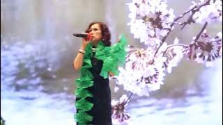 Civilized culture - Singing 風塵淚 (251122 MVI 8988)