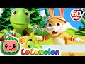 CoComelon en Español | La tortuga y la liebre | Compilación de Canciones Infantiles