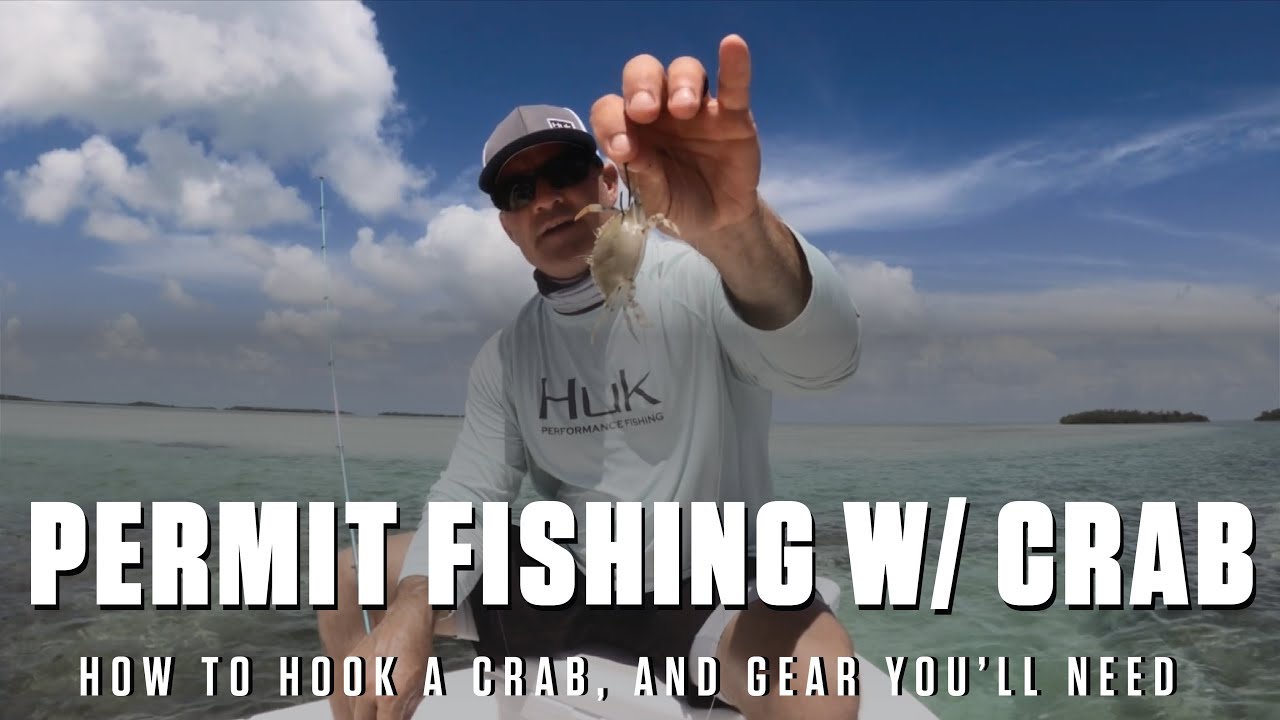 HOW 2 TUESDAY - Permit Fishing With A Live Crab - How to Hook a Crab