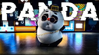 Velocity × Panda Dance - Velocity Edit screenshot 5