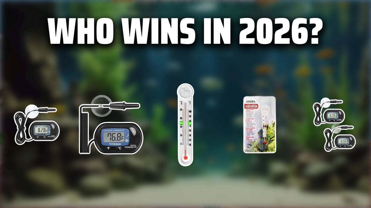 The Top 5 Best Aquarium Thermometer in 2026 - Must Watch Before Buying!