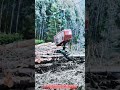 Innovative Cable-Based Forestry Harvesting System: Best Automated Log Handling Action