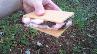 August 10th is National S'mores Day!