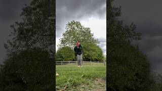 Training Whip the Barn Owl to hover! #barnowl #owl #birdofprey #training #hover