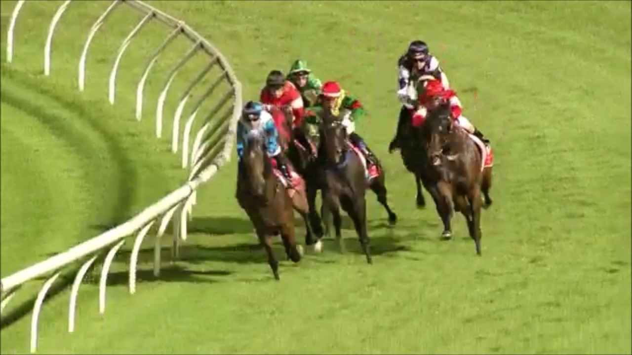 Ocean City 24th February Sunshine Coast Win Youtube