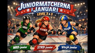 Juniormatcher i Norrköping 31/1-2026 NRD/STRD/VÄXJÖ lvl.2 &amp; lvl.3
