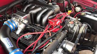 1993 Fox body Mustang Trick Flow Stage 1 cam walk around and rev