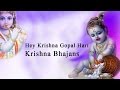 Hey Krishna Gopal Hari | Krishna Bhajan