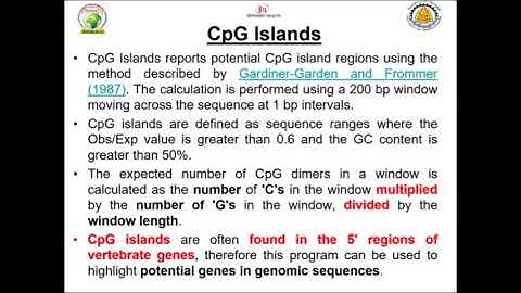 Bioinformatics Training: Discovering CpG Islands