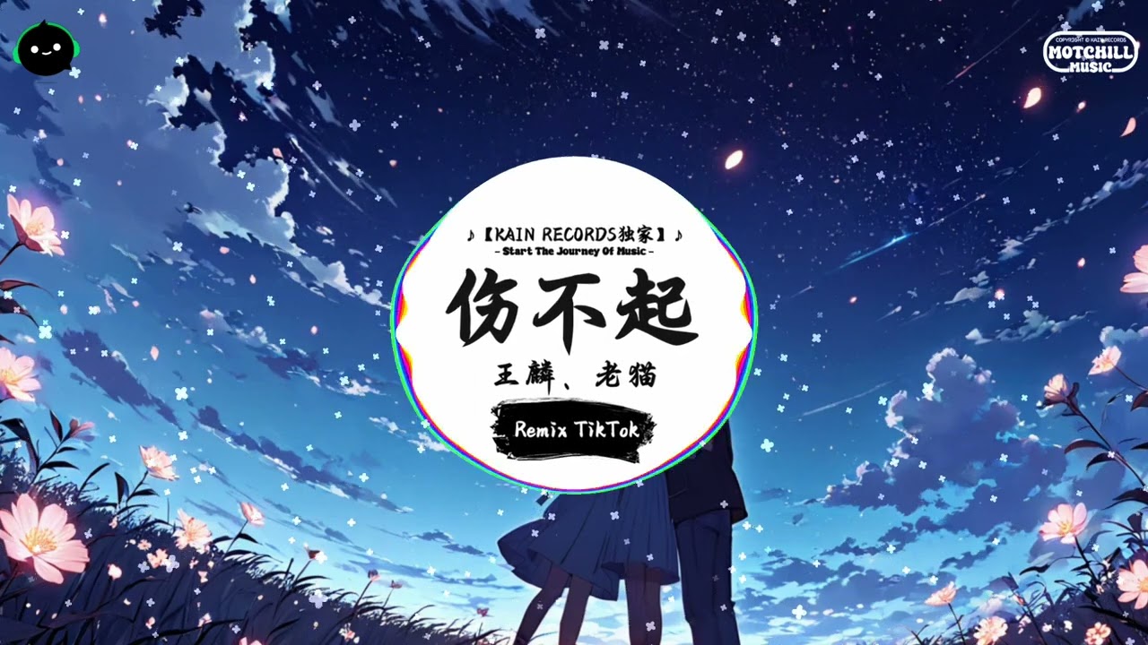 伤不起 (抖音DJ版) - 王麟、老猫 『伤不起真的伤不起,我想你想你想你想到昏天黑地。』♪ || 一听就上头的音乐 | 抖音 | TikTok ♪