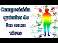 ¿Cual es la composición química de los seres vivos?🐰 PROTEÍNAS/ GLÙSIDOS/ SALES MINERALES