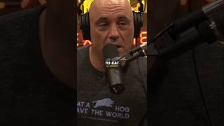 Joe Rogan on American vs Italian food