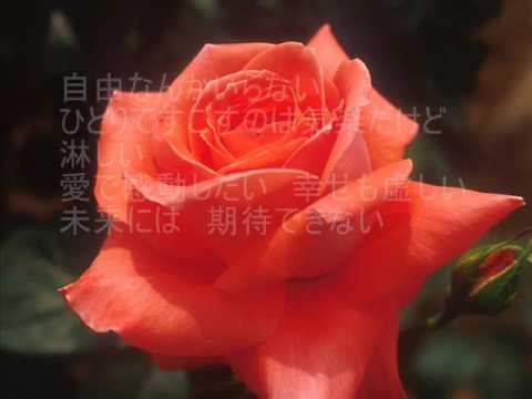 分手說愛你　日本語で歌おう