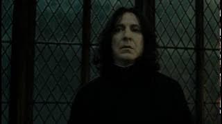The Loyalty of the Elderwand | Harry Potter and the Deathly Hallows Pt. 2