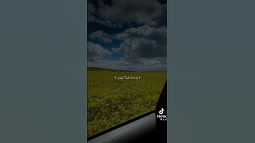(ألم يجدك يتيما فأوى) | سورة الضحى | حالات واتس اب دينية | بصوت المنشاوي 💚
