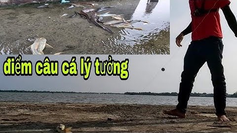 Câu cá ngát dưới trụ cầu Mỹ lợi-River fishing in Vietnam