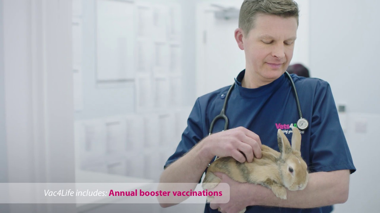 vets4pets vacs for life