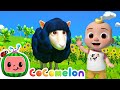 Baa Baa Black Sheep! | CoComelon Animals | Animals for Kids