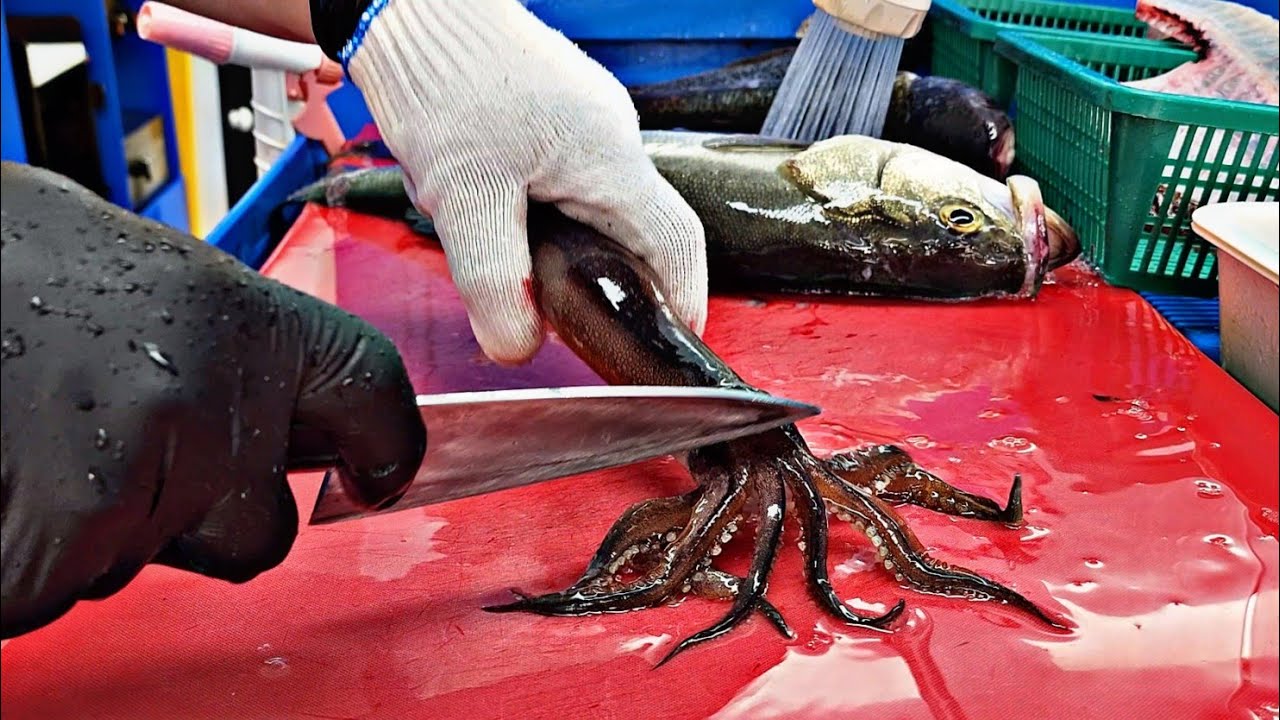 Корейская морская рыба.  Корейские сашими.  Корейские морепродукты.