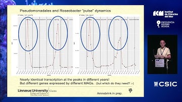 Some microbial ecology lessons learned from bacterioplankton gene expression analyses - J. Pinhassi