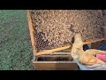 Метод 3в1 10 седмици по-късно