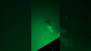 Florida Keys Shark Fishing! This Fight Almost Went Very Wrong! I Got Lucky