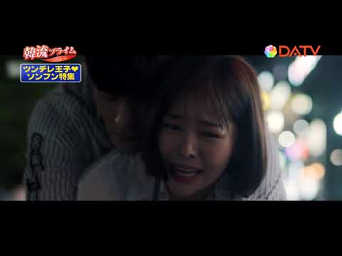 私は道で芸能人を拾った（原題）