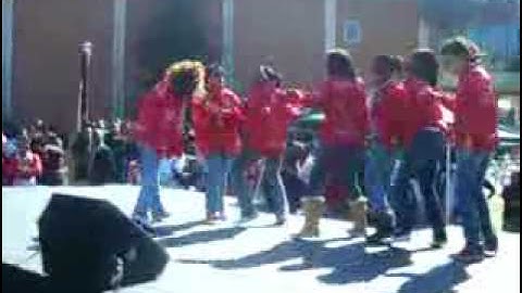 Lambda Psi Deltas Stroll Spr06 (2007).flv