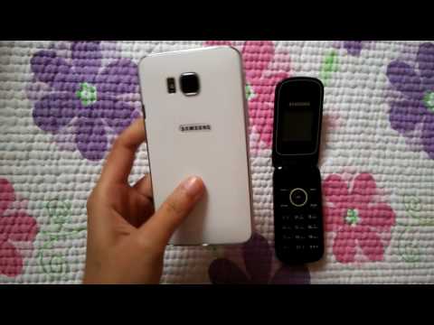 Compared Between The Samsung GT E1195 And Samsung Mini S6 