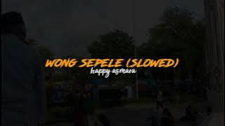 wong sepele - happy asmara (slowed)