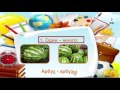 Проверка слов с парными согласными в корне и на конце слов