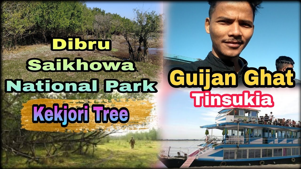 //Dibru Saikhowa National Park🎄 Kekjori Tree 🎄// Tinsukia Guijan Ghat//My New Vlogs//