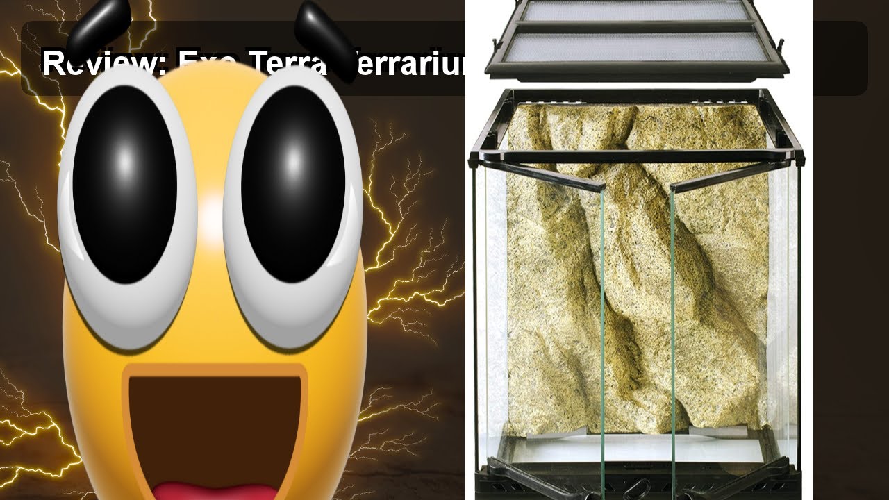 Review: Exo Terra Terrarium Kit for Reptiles