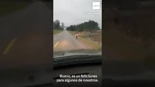 Dad teach daughter a lesson for being a bully!!