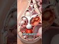 Breast Lump During Breastfeeding? 😰 Fibrocystic or Mastitis Explained!
