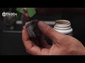 HOW TO MAKE CLONE CUTTINGS STEP BY STEP