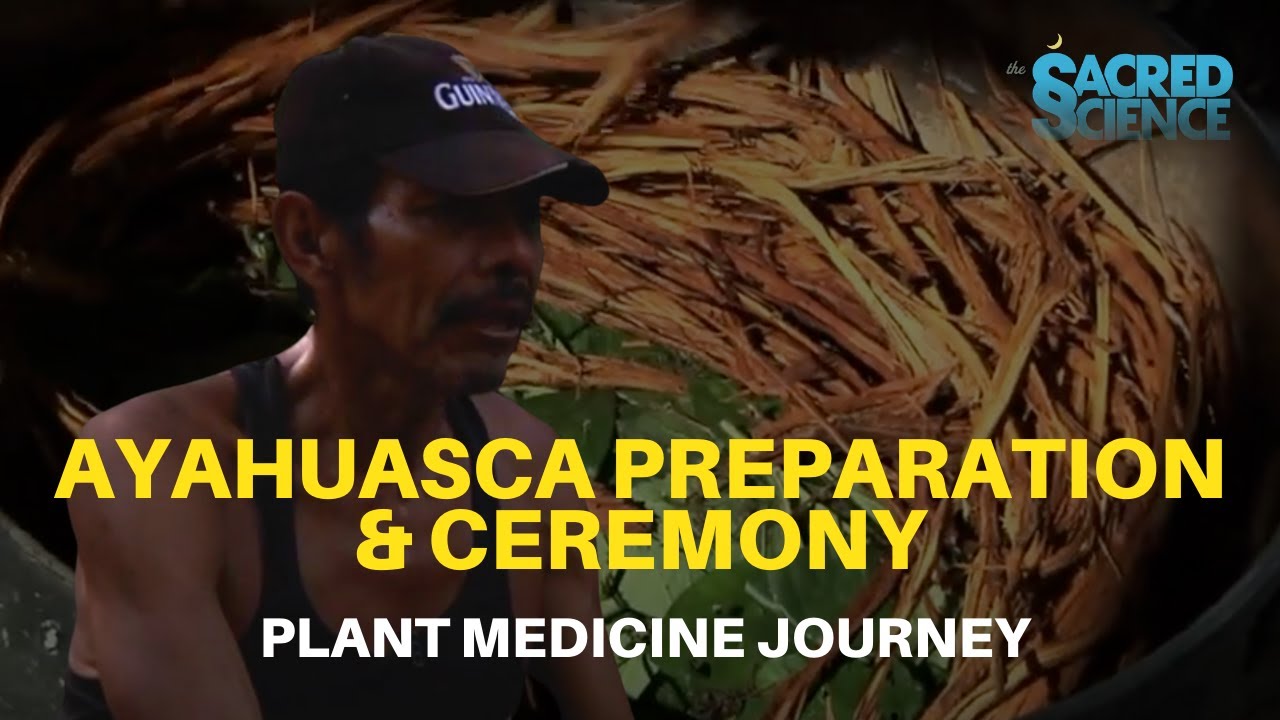 Ayahuasca: Sacred Plant Medicine Journey | Don Bechín | Amazonian Indigenous Healing Ceremony