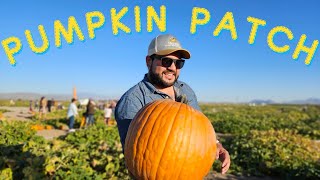 Marana Pumpkin Patch 2023 🎃🚜