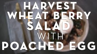 Harvest Wheat Berry Salad With A Perfect Poached Egg Harvest Wheat Berry Salad With A Perfect Poached Egg