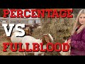 Percentages VS Fullblood WHY WE DO BOTH