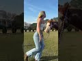 No horses were harmed in the making of this