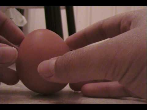 how to balance a normal egg