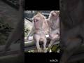 क्यों पराई औरत को छेड़ता 😂😅 pt 10| Funny instagram comments || Ankur Khan #shorts #funny #comedy