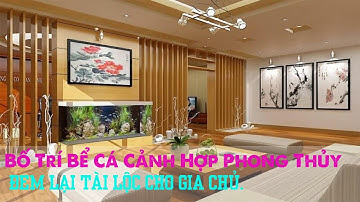 Bố Trí Bể Cá Cảnh Hợp Phong Thủy Đem Lại Tài Lộc Cho Gia Chủ.